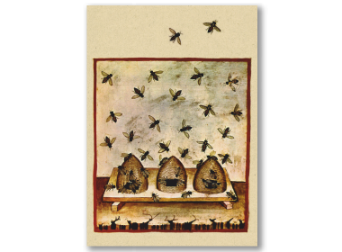 Mittelalterliche Malerie von drei Bienenkörben mit umherschwirrenden Bienen.