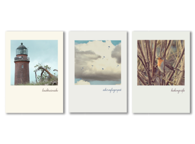 Foto-Postkarten als Set: Ein Leuchtturm, ein Rotkehlchen und Pusteblumen-Flieger als quadratische Bilder auf je einer Karte.